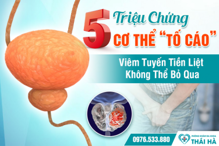 5 Triệu Chứng Cơ Thể “Tố Cáo” Viêm Tuyến Tiền Liệt Không Thể Bỏ Qua