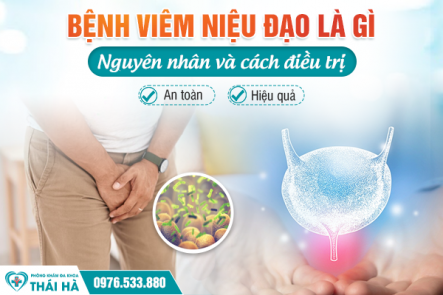 Bệnh viêm niệu đạo là gì? Nguyên nhân và cách điều trị an toàn và hiệu quả!