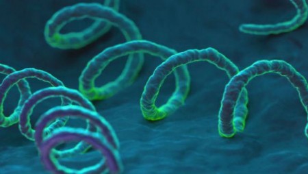 CHỮA GIANG MAI BẰNG CÁCH NÀO TỐT?