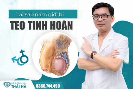Tại Sao Nam Giới Bị Teo Tinh Hoàn? Có Chữa Khỏi Được Không?